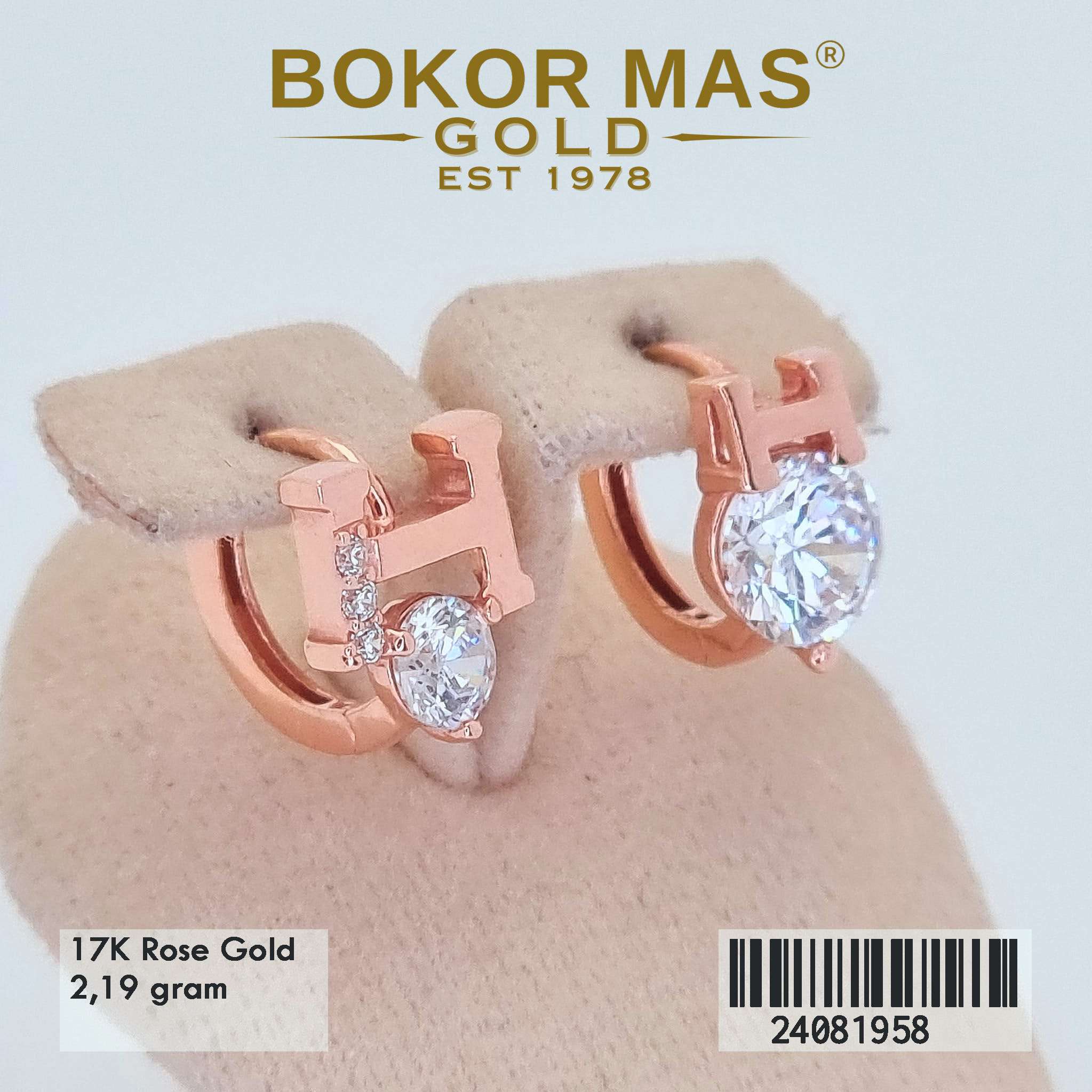 Anting Variasi Permata Putih - 24081958 - 17K