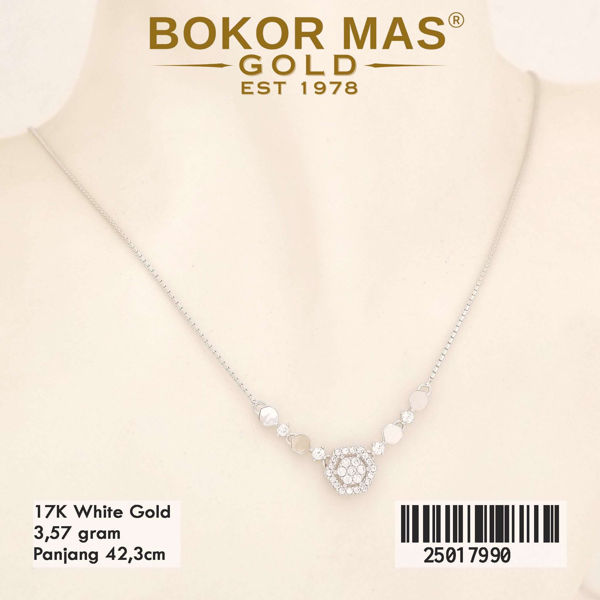 Kalung Variasi Permata - 25017990 - 17K