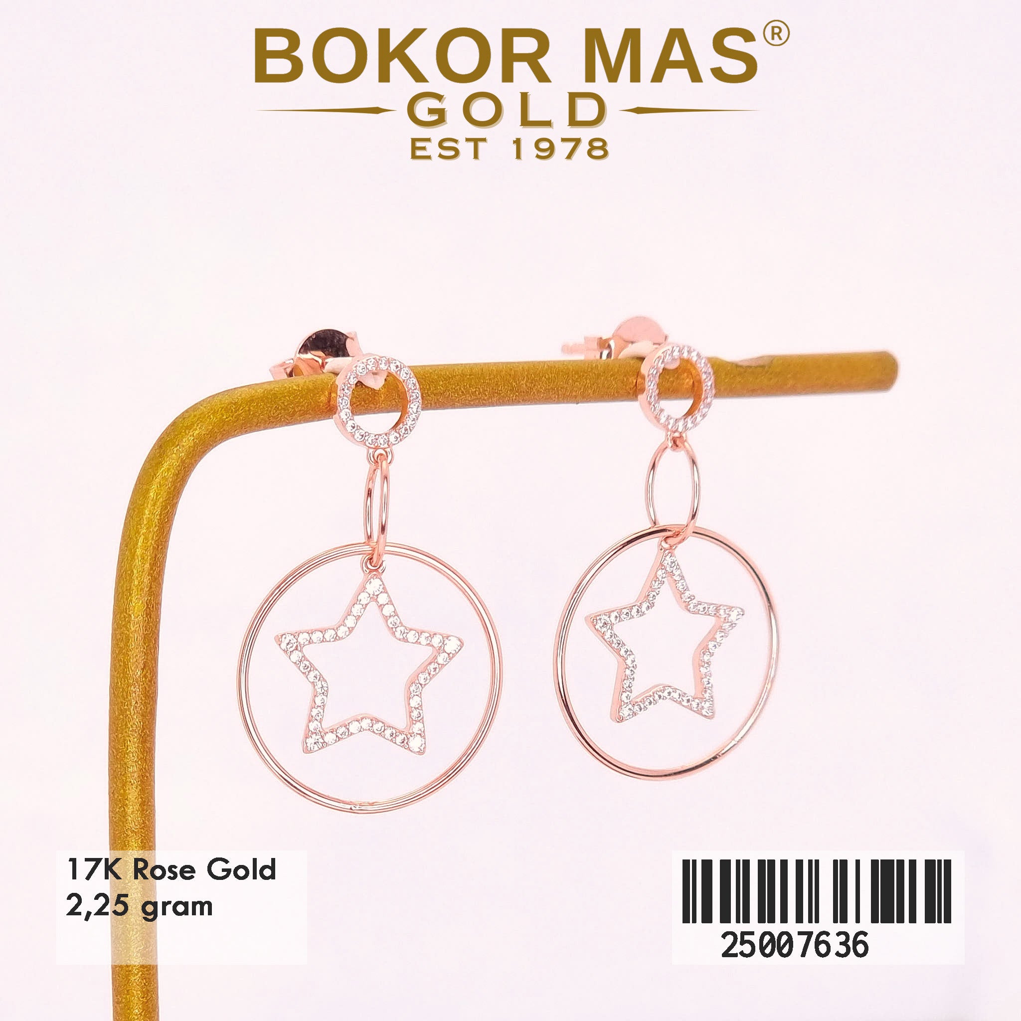Anting Tusuk Juntai Model Bintang - 25007636 - 17K