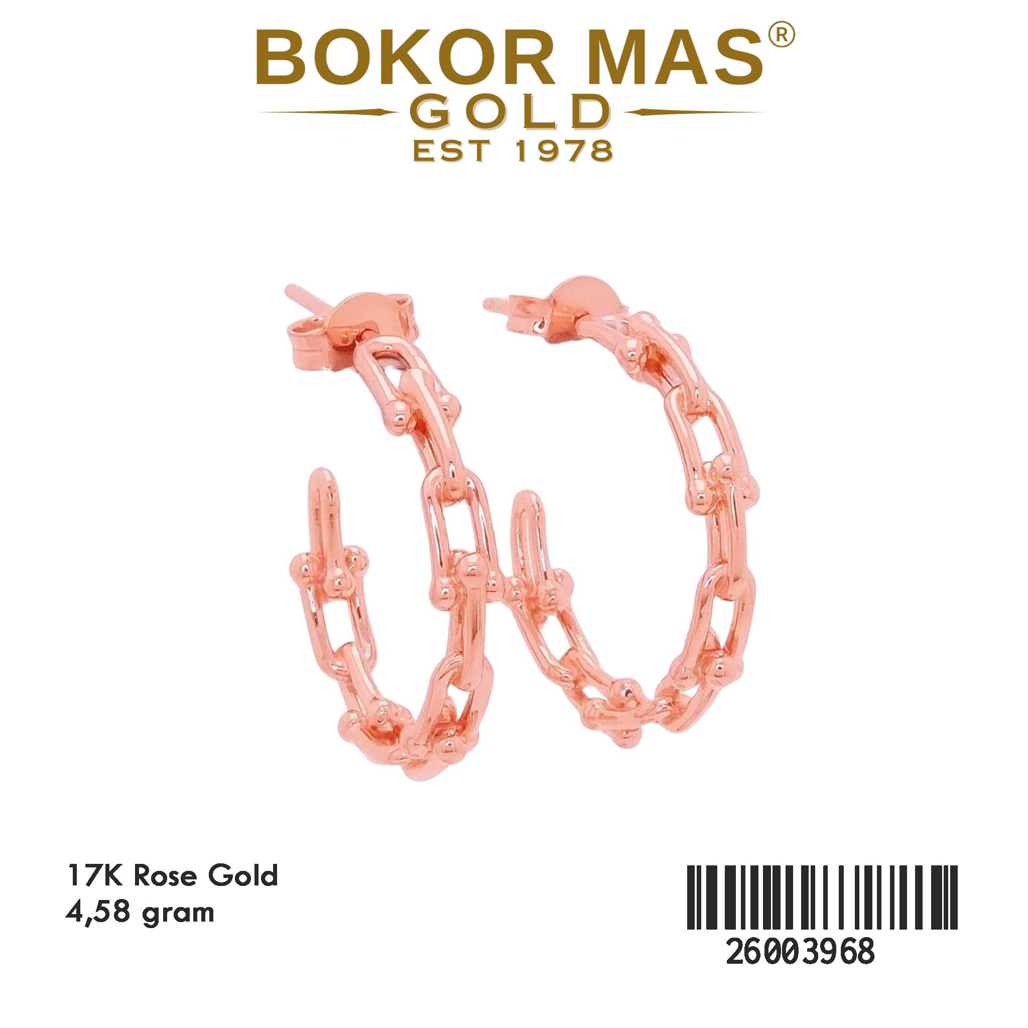 Anting Tusuk Variasi Tify - 26003968 - 17K