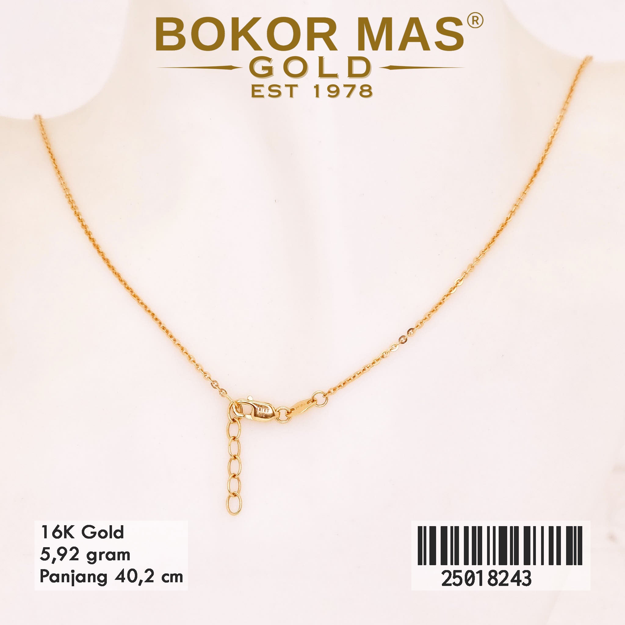 Kalung Variasi Liontin Permata - 25018243