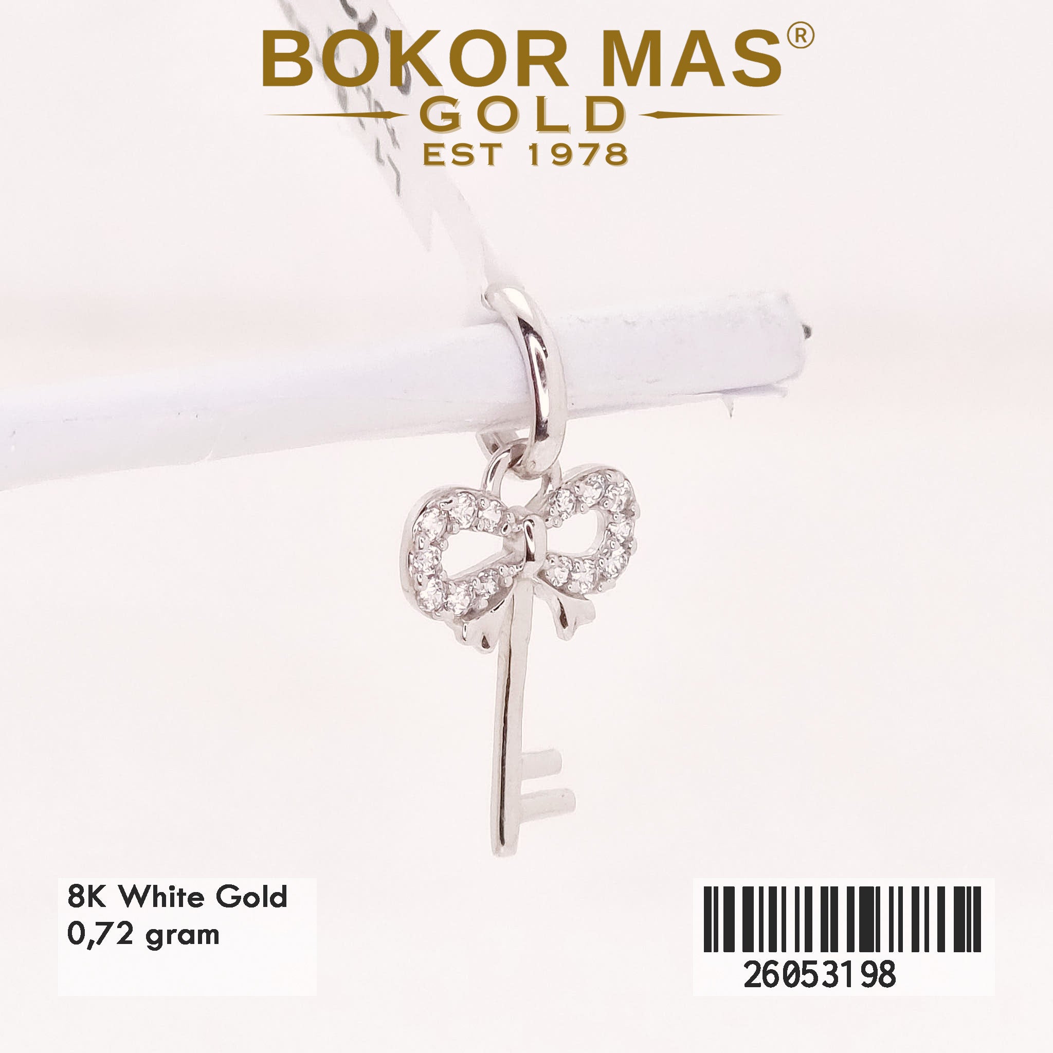 Liontin Model Kunci Permata White Gold - 26053198 - 8K