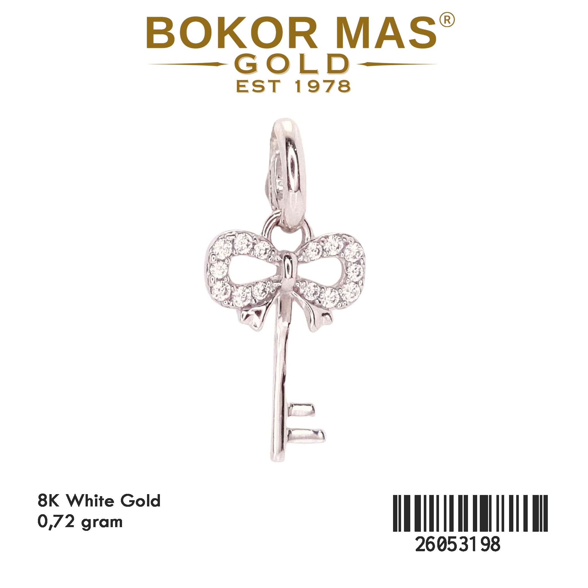 Liontin Model Kunci Permata White Gold - 26053198 - 8K