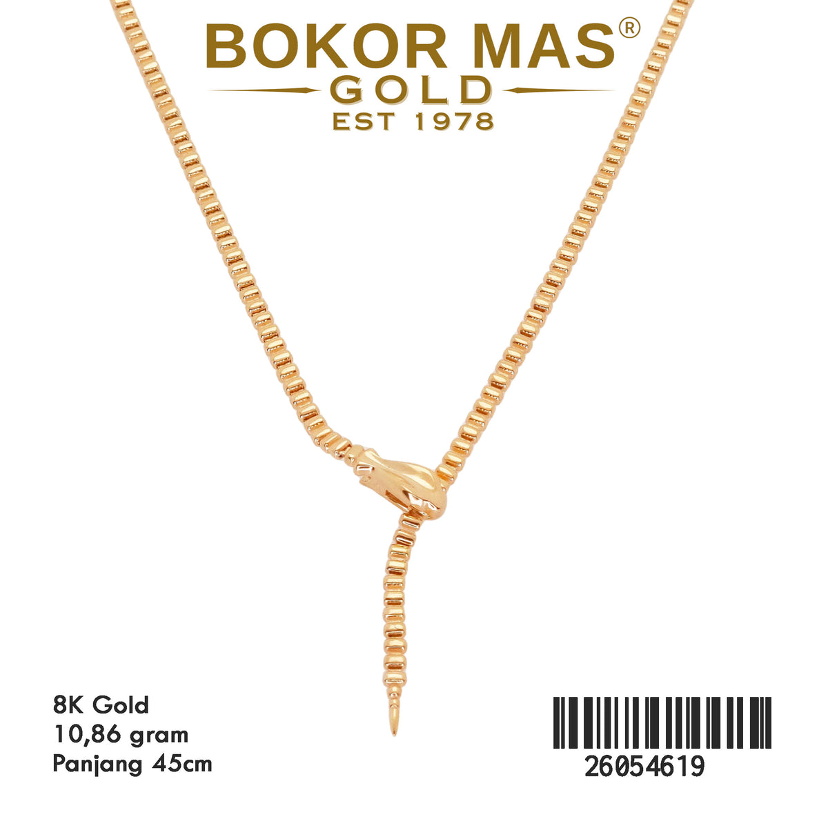 Kalung Model Variasi - 26054619 - 8K