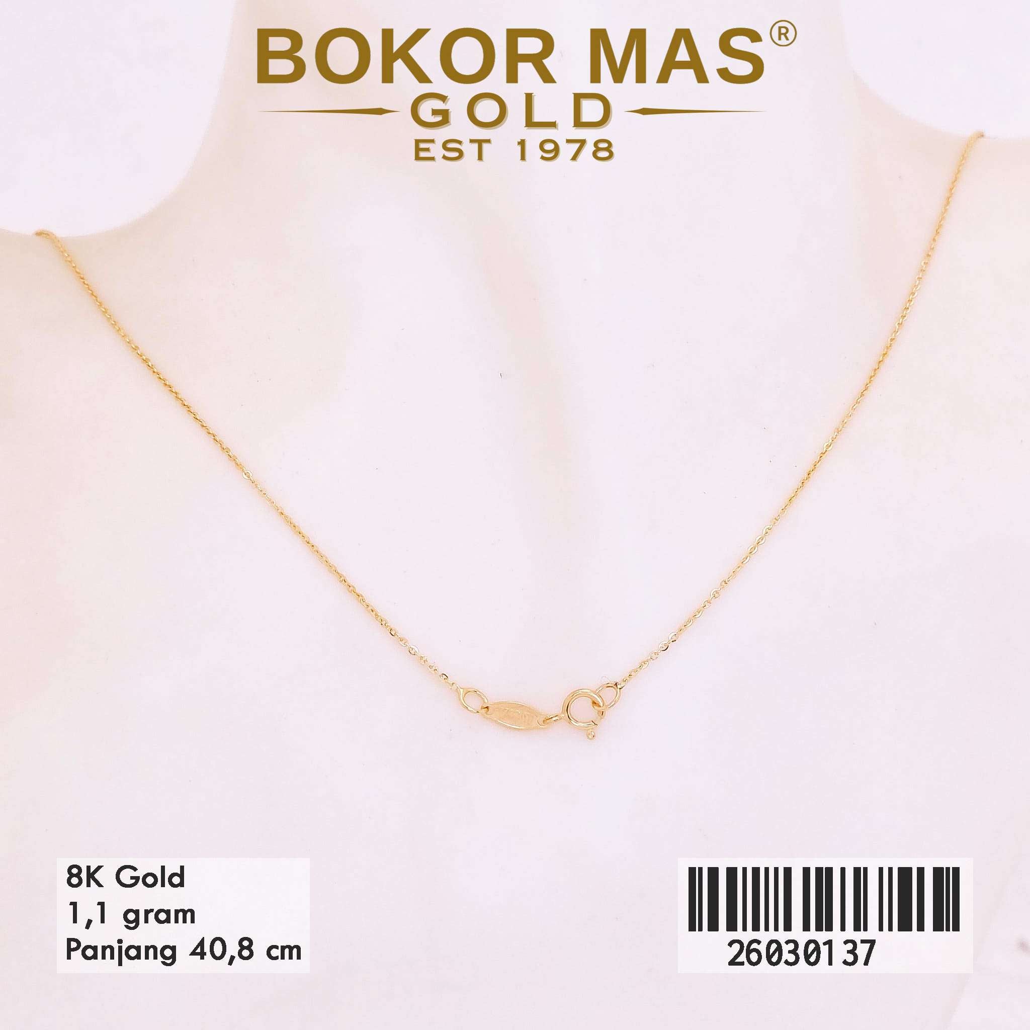 Kalung Variasi Liontin BTG - 26030137 - 8K
