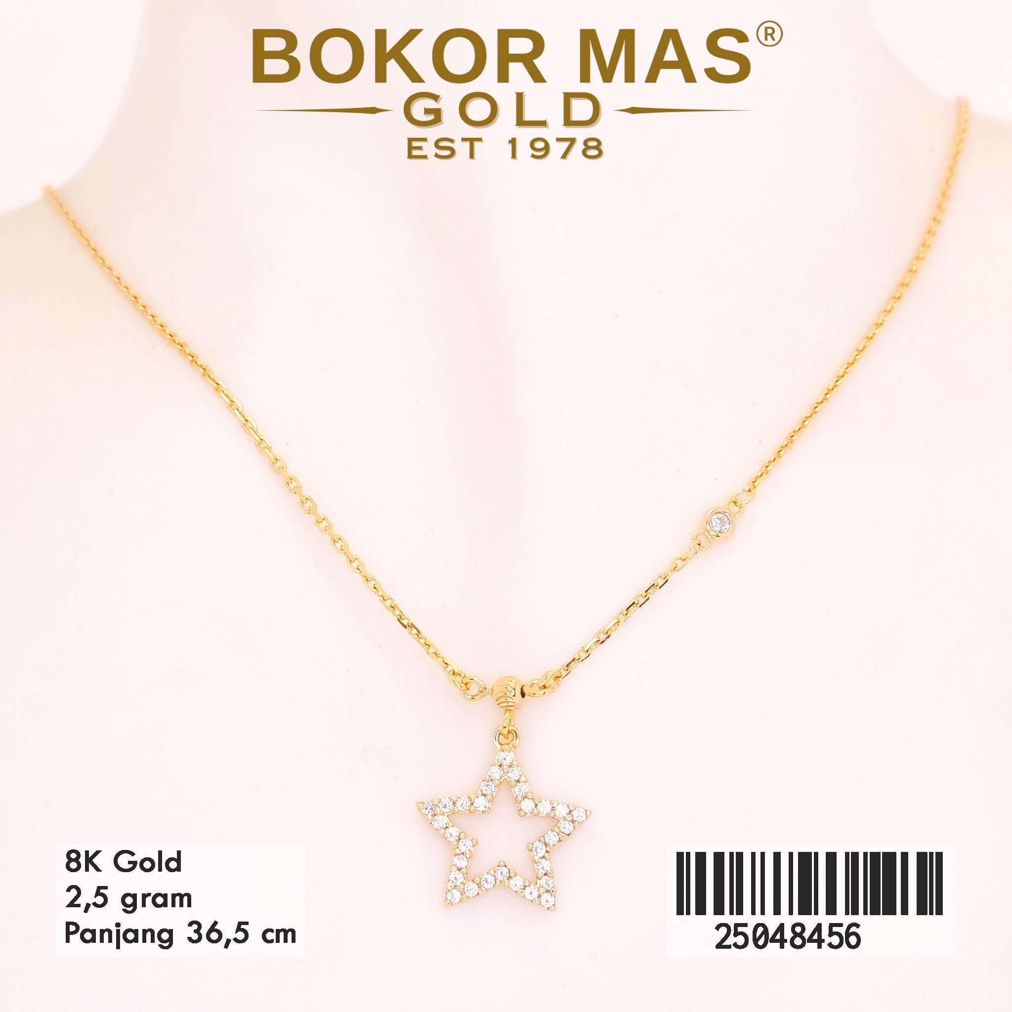 Kalung Variasi Bintang Permata - 25048456 - 8K