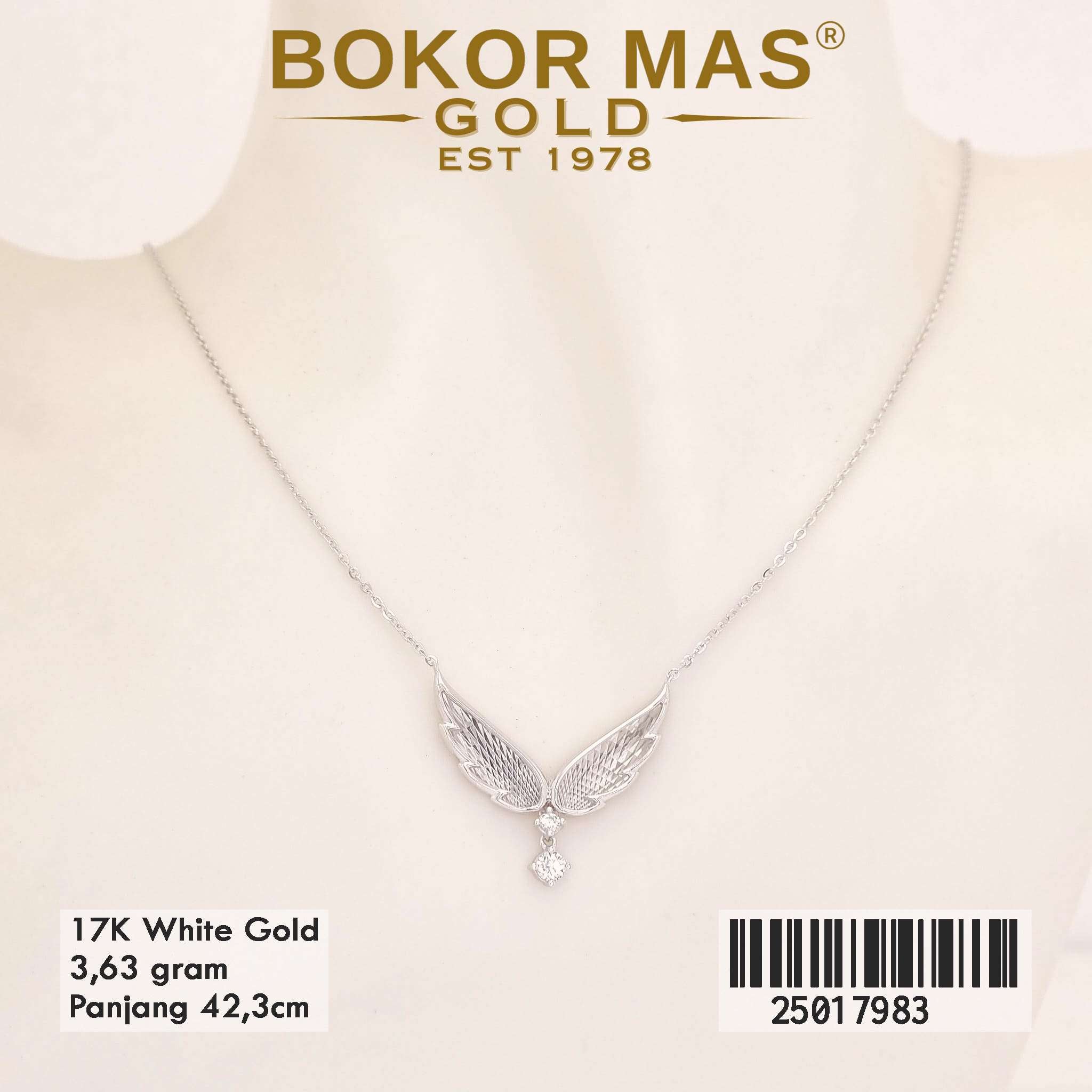 Kalung Variasi Sayap - 25017983 - 17K