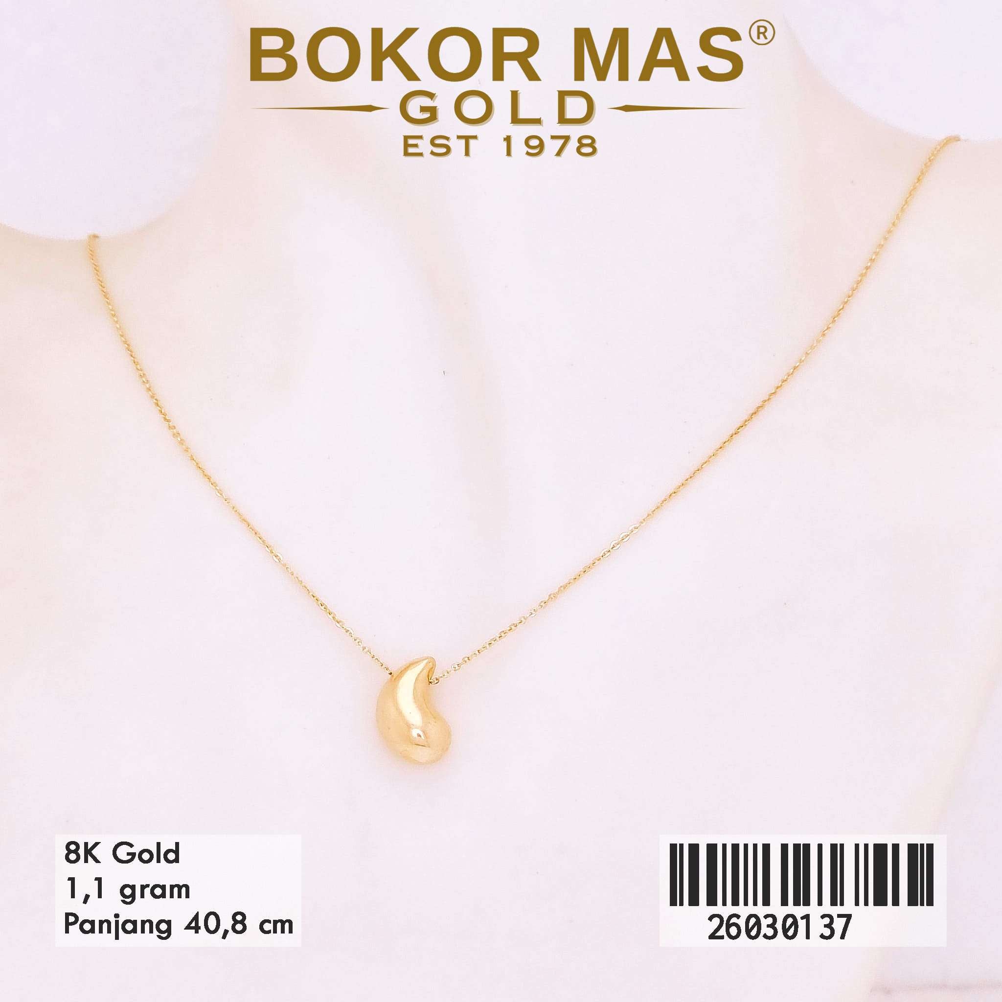 Kalung Variasi Liontin BTG - 26030137 - 8K