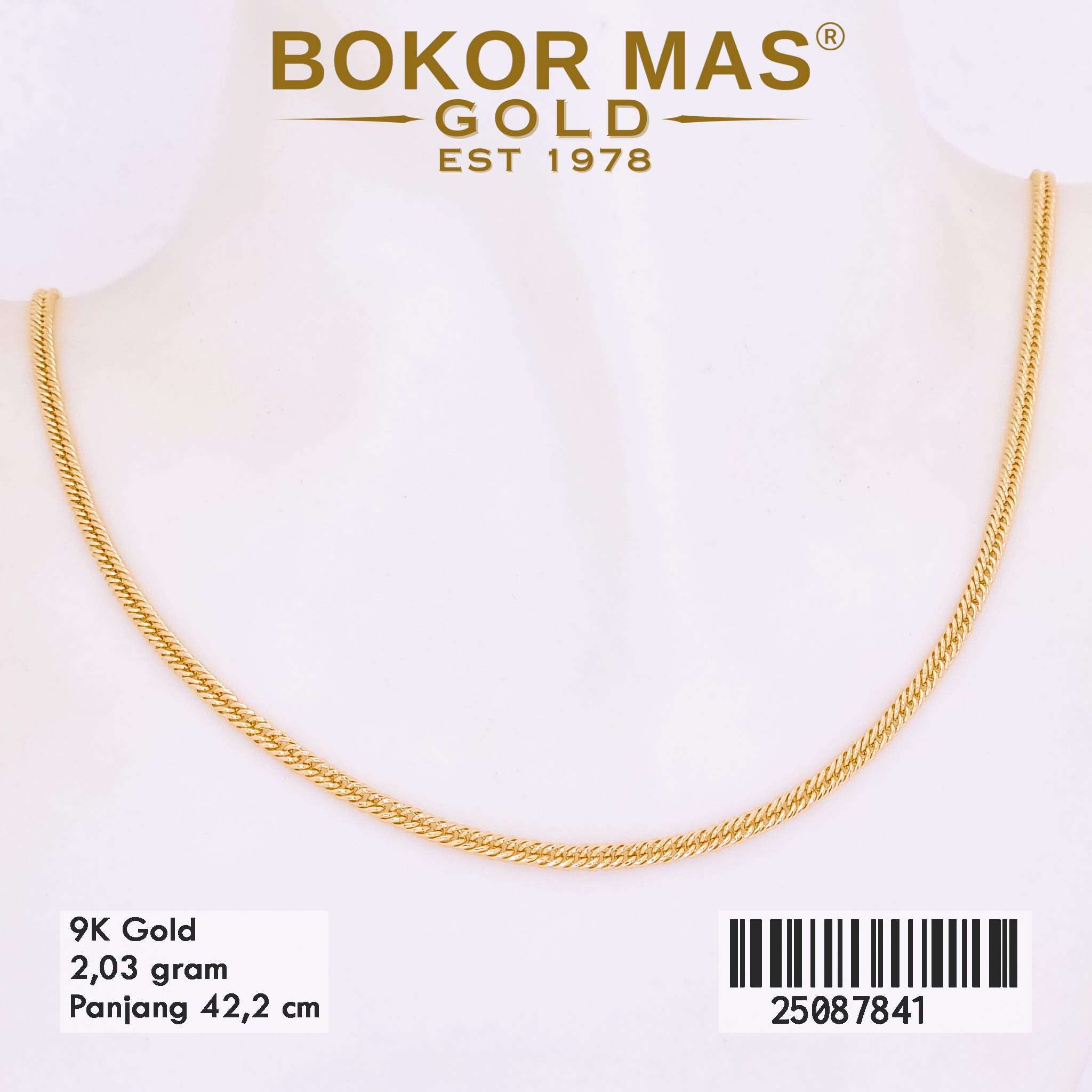  Kalung Variasi Rantai - 25087841 - 9K